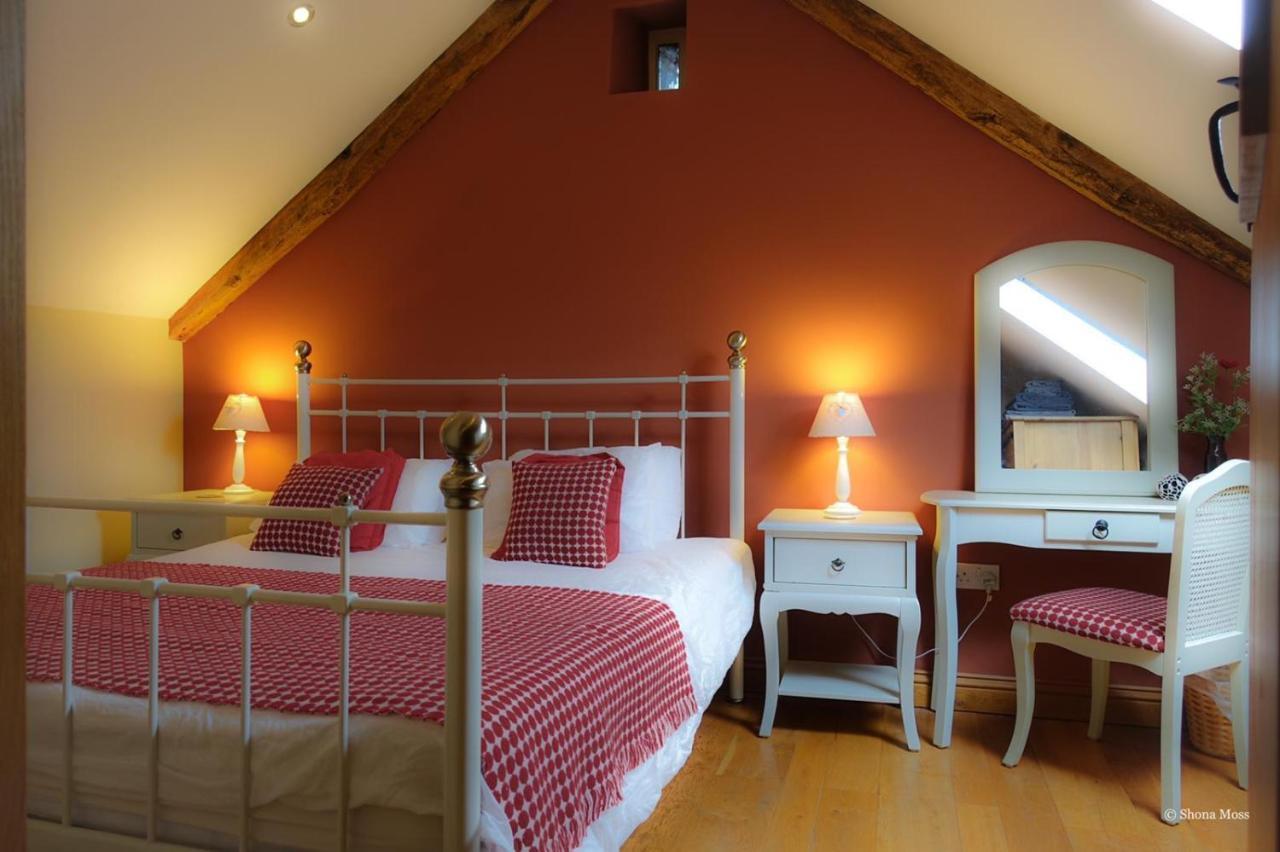 Villa Rhiwddu Barns Llangadog Habitación foto